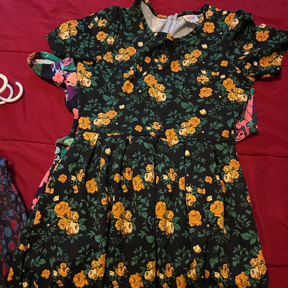 Lularoe dress beautiful flowers